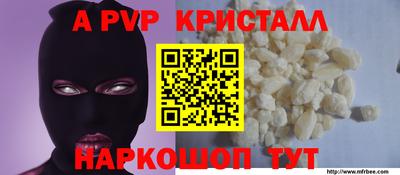 шишки Славгород