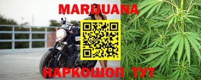 шишки Славгород